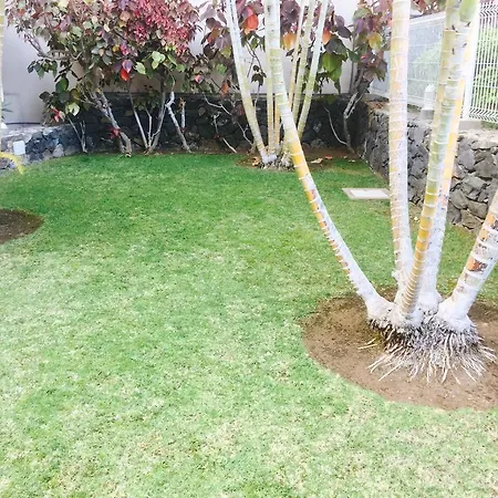 Appartamento Los Cristianos - Palm Mar Los Cristianos (Tenerife)