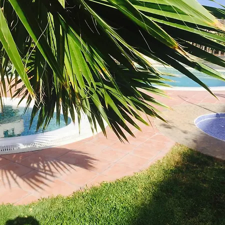 Los Cristianos - Palm Mar * Los Cristianos (Tenerife)