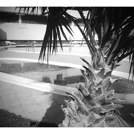 Los Cristianos - Palm Mar *